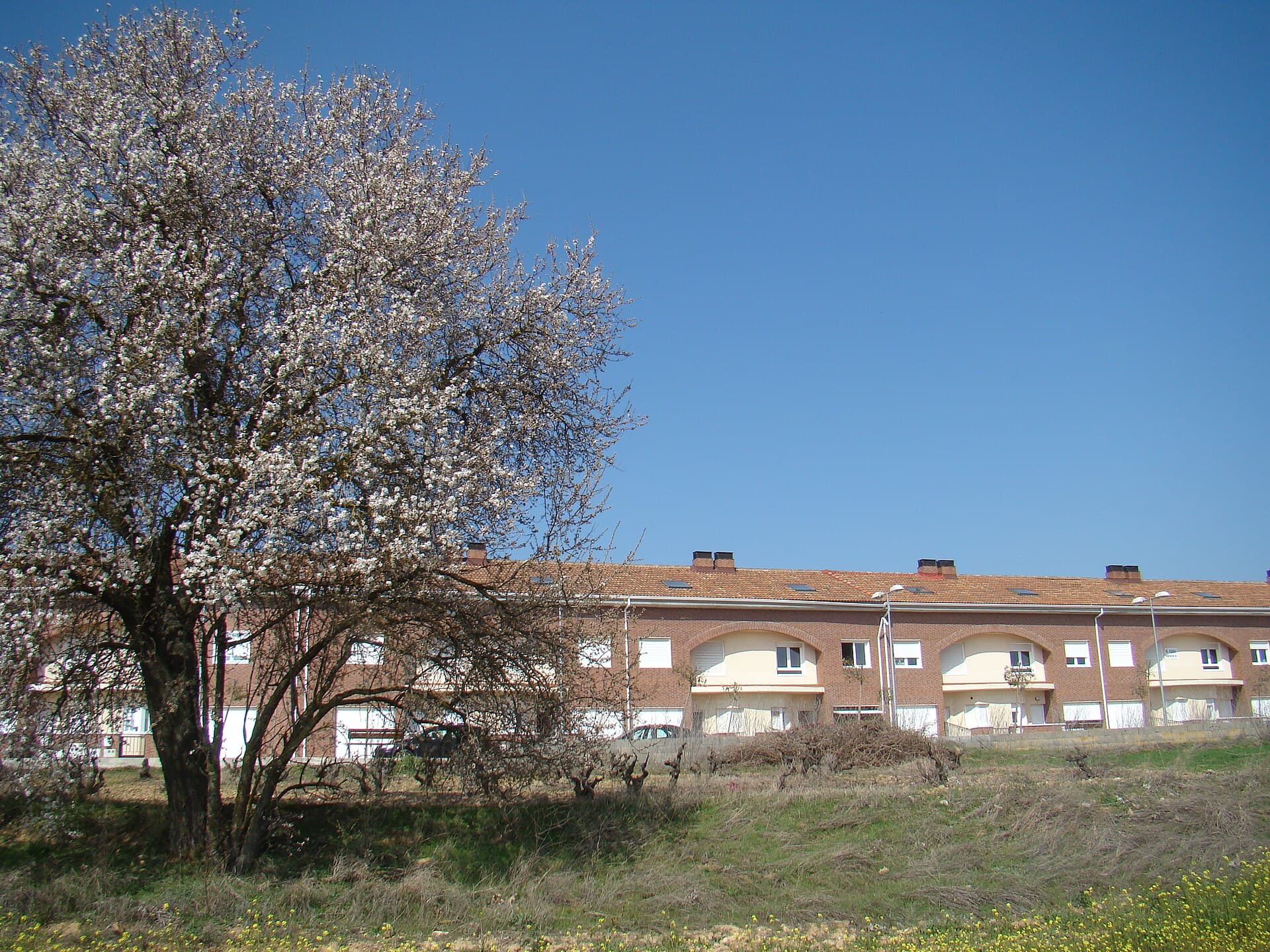 Chalet adosado en Valladolid